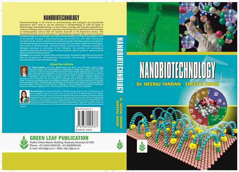 Nanobiotechnology.jpg